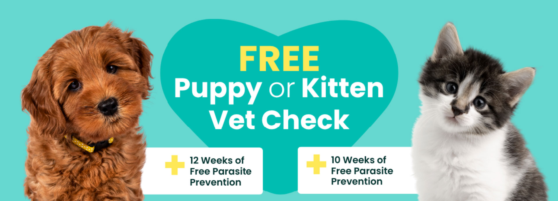 Free Puppy Kitten Checks